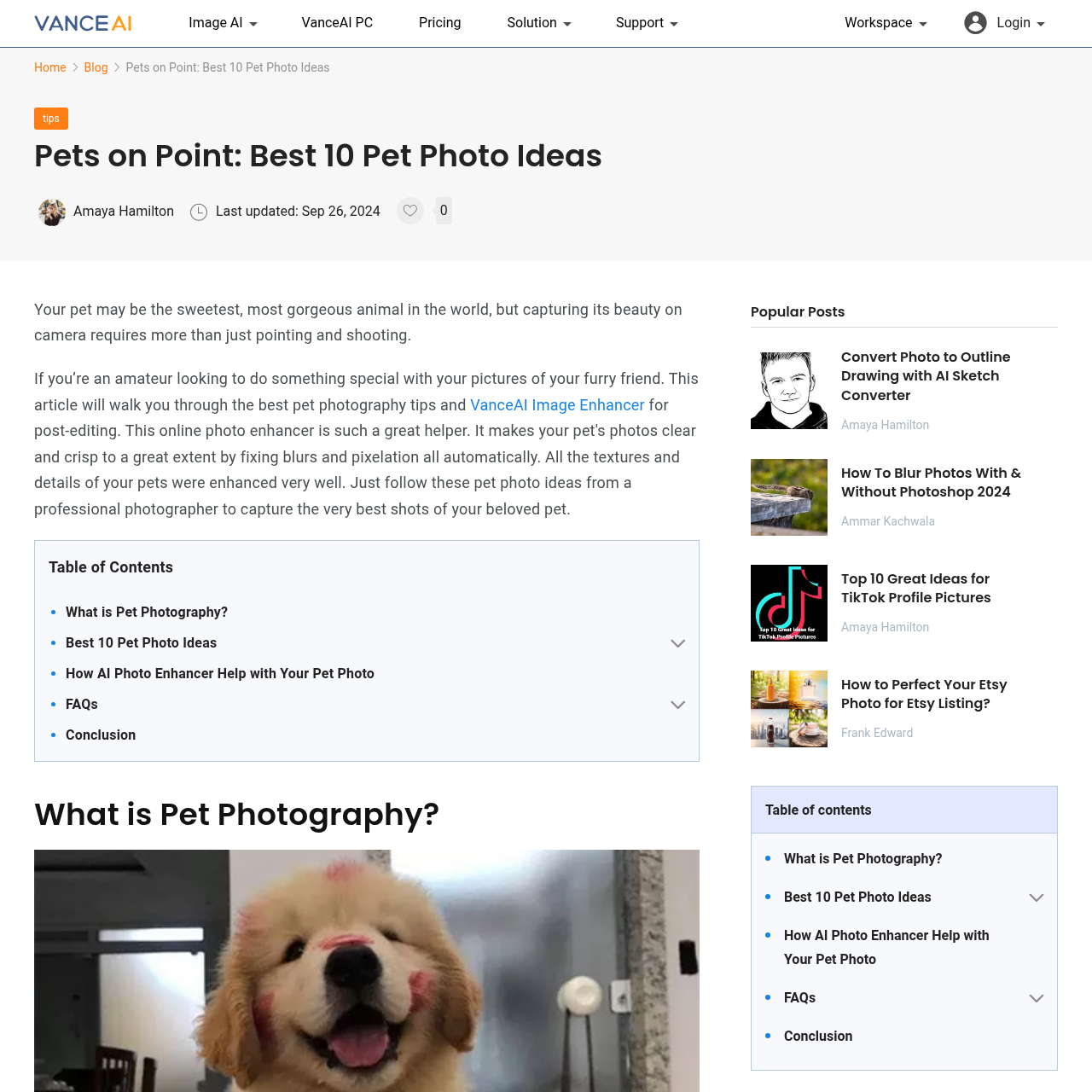 VanceAI Image Enhancement interface
