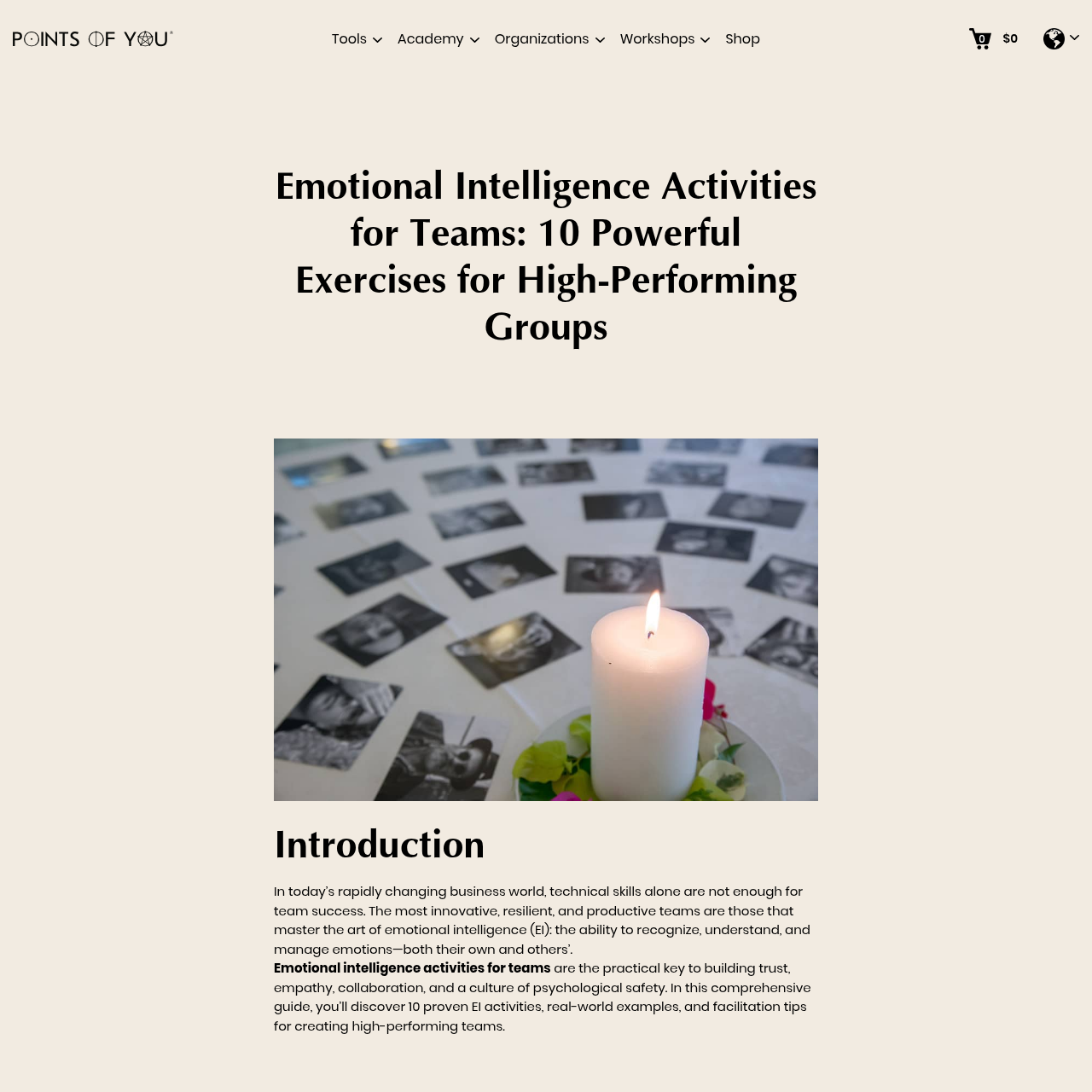 Emotional Intelligence Activities for Teams - Points of You® interface