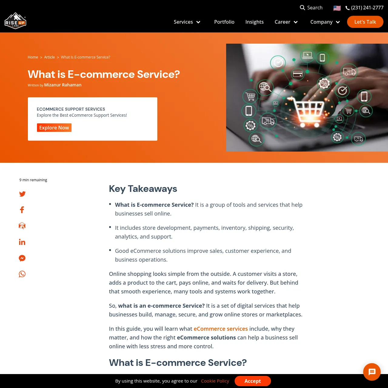 E-commerce Service (by Riseup Labs) interface