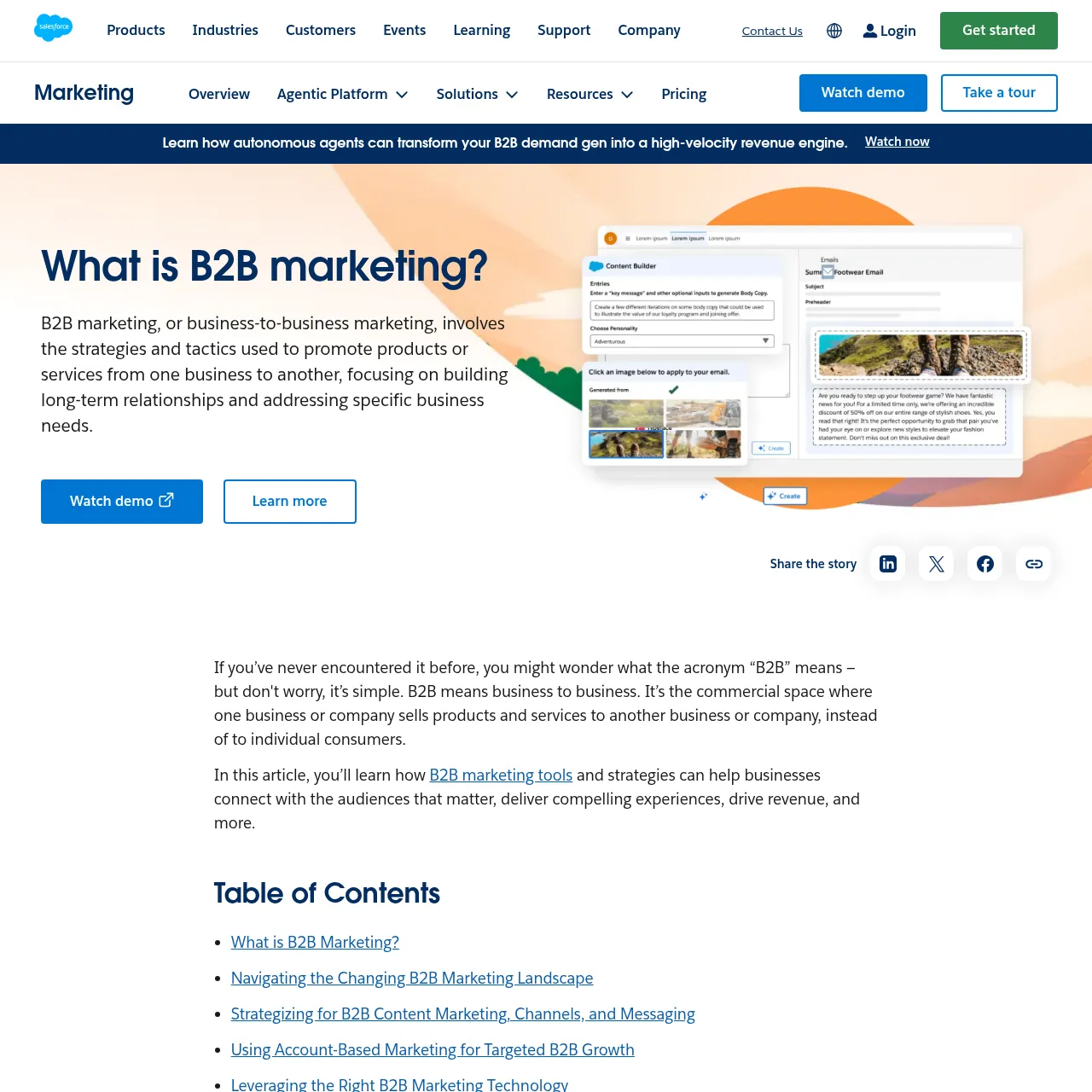 Salesforce B2B Marketing Guide